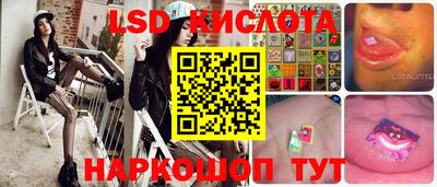 mdpv Ярославль