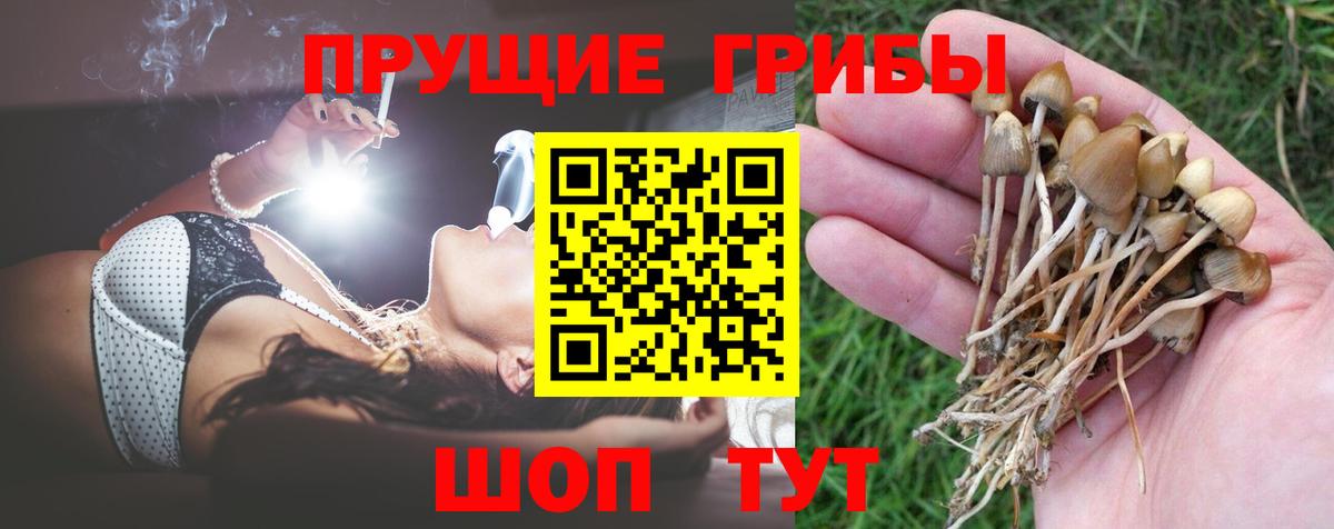 Галлюциногенные грибы мухоморы  Вход с VPN  Кизляр 